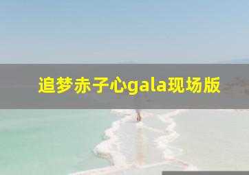 追梦赤子心gala现场版