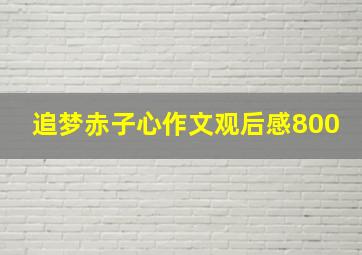 追梦赤子心作文观后感800