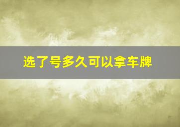 选了号多久可以拿车牌