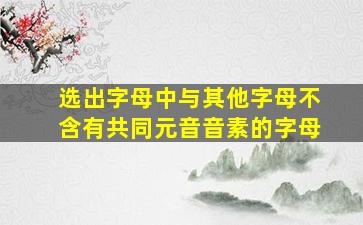 选出字母中与其他字母不含有共同元音音素的字母