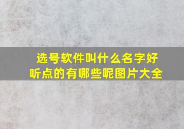 选号软件叫什么名字好听点的有哪些呢图片大全