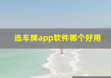 选车牌app软件哪个好用