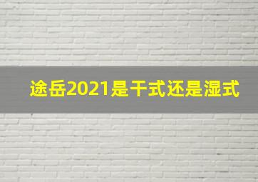 途岳2021是干式还是湿式