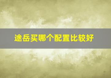 途岳买哪个配置比较好