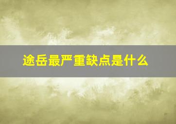 途岳最严重缺点是什么