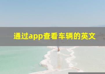 通过app查看车辆的英文