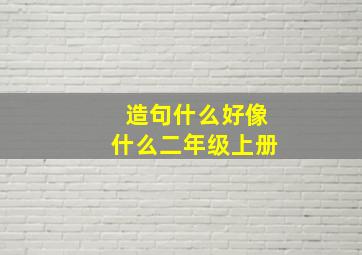 造句什么好像什么二年级上册