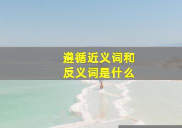 遵循近义词和反义词是什么