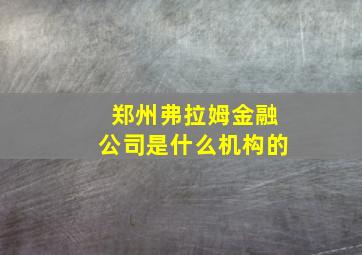 郑州弗拉姆金融公司是什么机构的