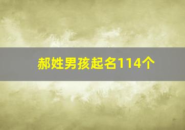 郝姓男孩起名114个