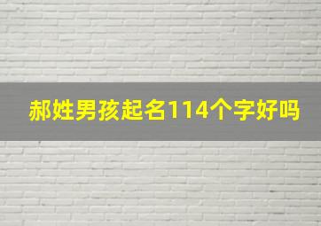 郝姓男孩起名114个字好吗