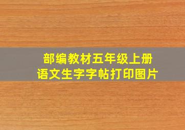 部编教材五年级上册语文生字字帖打印图片