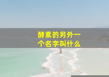 酵素的另外一个名字叫什么