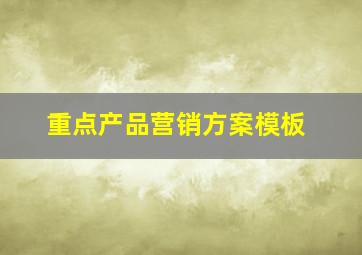 重点产品营销方案模板