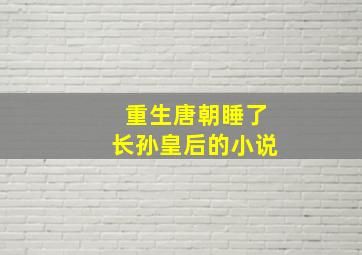 重生唐朝睡了长孙皇后的小说