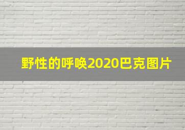 野性的呼唤2020巴克图片