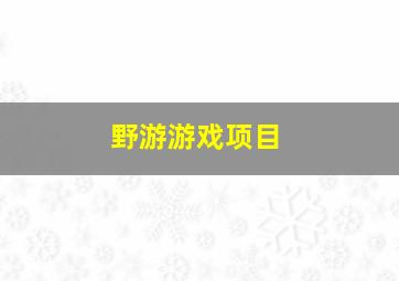 野游游戏项目