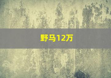 野马12万