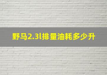 野马2.3l排量油耗多少升