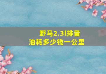 野马2.3l排量油耗多少钱一公里