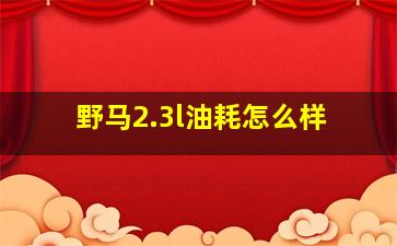 野马2.3l油耗怎么样