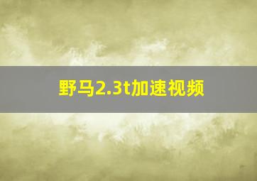 野马2.3t加速视频