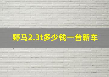 野马2.3t多少钱一台新车