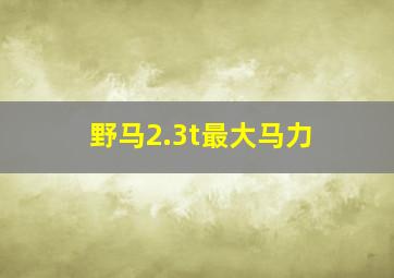 野马2.3t最大马力