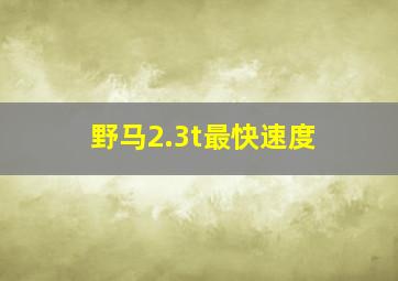 野马2.3t最快速度