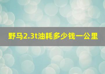 野马2.3t油耗多少钱一公里