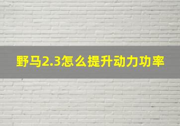 野马2.3怎么提升动力功率