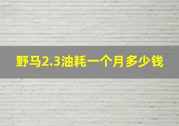 野马2.3油耗一个月多少钱