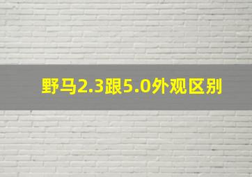 野马2.3跟5.0外观区别