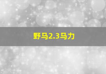 野马2.3马力