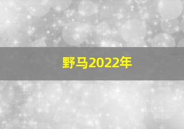 野马2022年