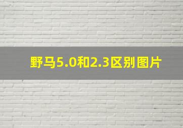 野马5.0和2.3区别图片