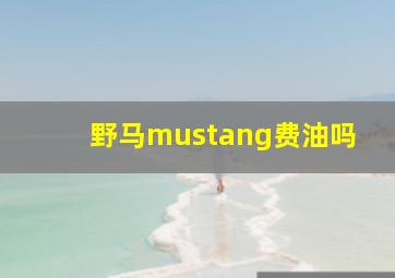 野马mustang费油吗