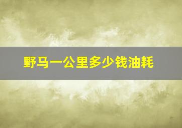 野马一公里多少钱油耗