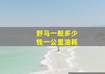 野马一般多少钱一公里油耗