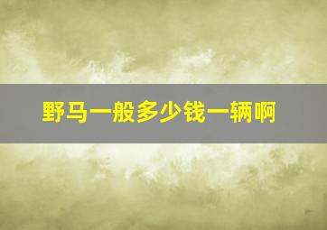 野马一般多少钱一辆啊