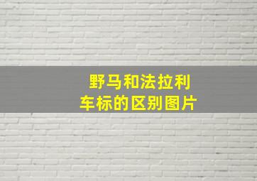 野马和法拉利车标的区别图片