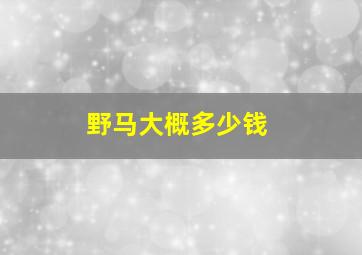 野马大概多少钱