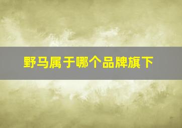 野马属于哪个品牌旗下