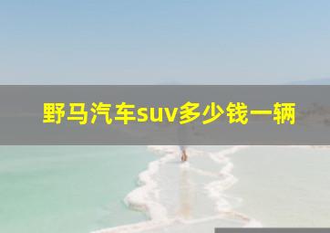 野马汽车suv多少钱一辆