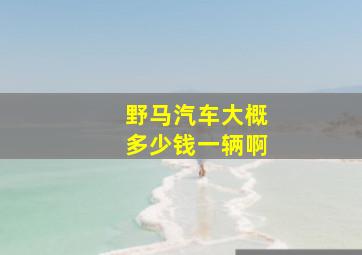 野马汽车大概多少钱一辆啊