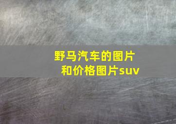 野马汽车的图片和价格图片suv