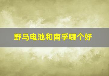 野马电池和南孚哪个好