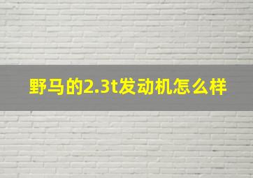 野马的2.3t发动机怎么样