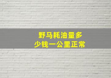 野马耗油量多少钱一公里正常