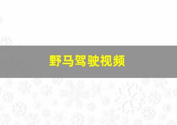 野马驾驶视频